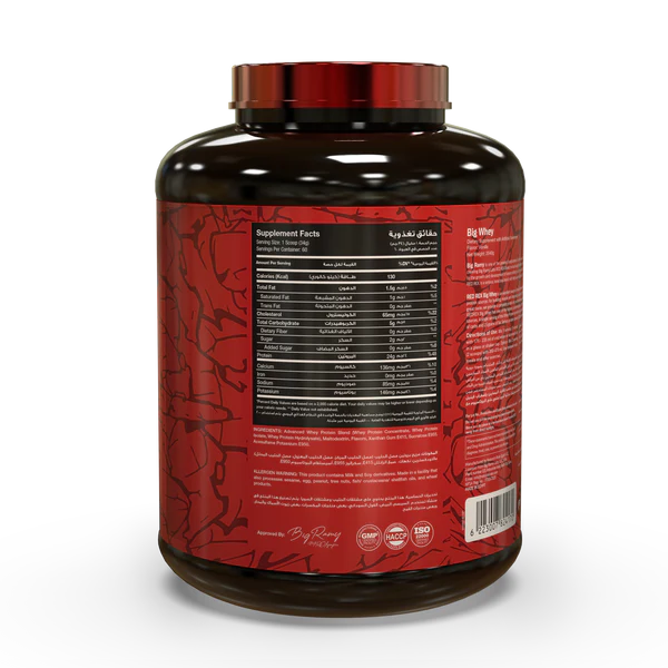 Big Ramy Labs Building Bigger Bodies Big Whey