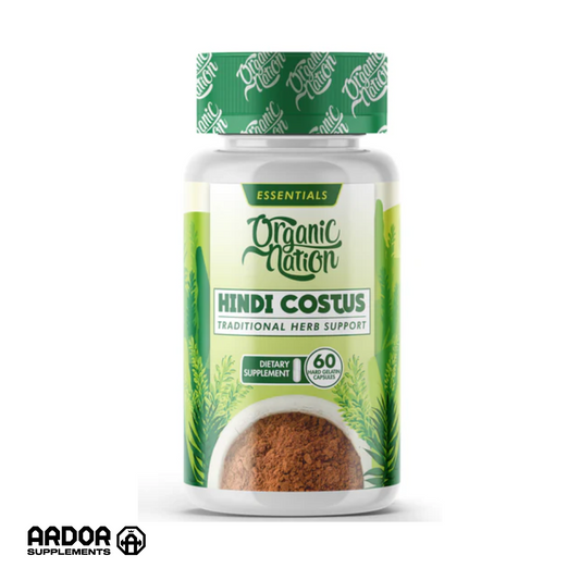 Hindi Costus - Organic Nation - القسط الهندي
